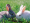 https://www.mvp.zgeffen.com/images/com_adsmanager/categories/10cat_t.jpg