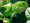 https://www.mvp.zgeffen.com/images/com_adsmanager/categories/12cat_t.jpg