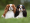 https://www.mvp.zgeffen.com/images/com_adsmanager/categories/1cat_t.jpg