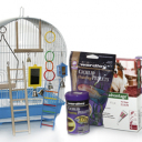 זיו גפן