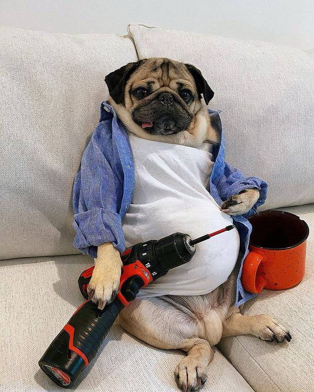 Gotta do some fixin' in the kennels lol ??